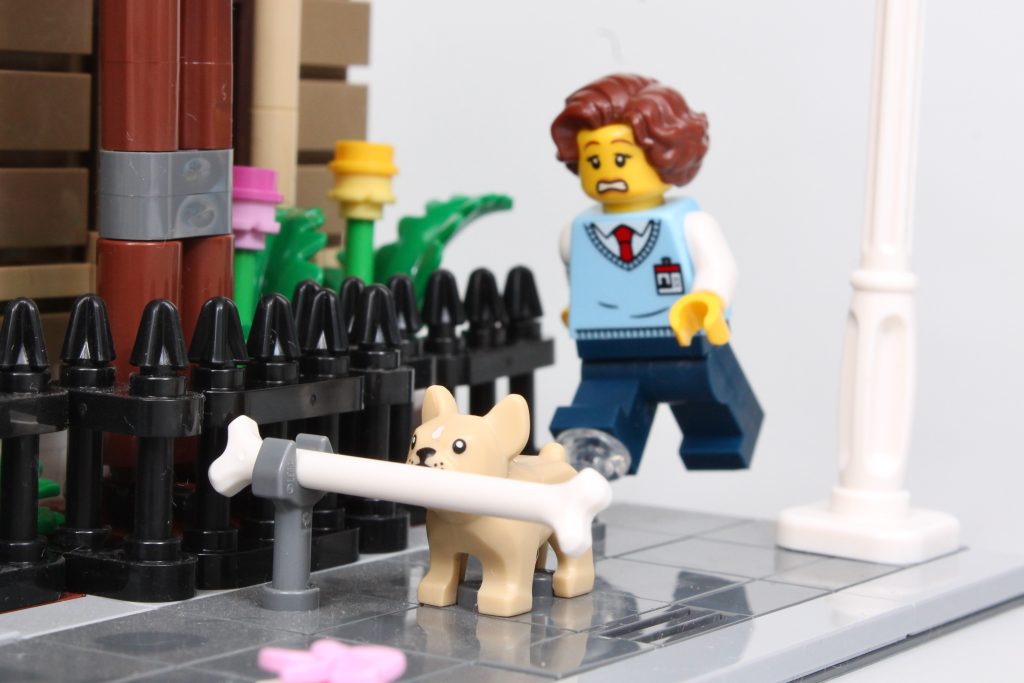LEGO Icons 10326 Natural History Museum review 20 1024x683